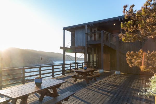 Biophilic Design - The Basics Timber Cove Resort 