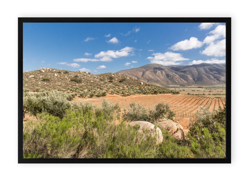 Pastoral